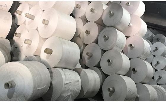 650D - 2000D de pp Geweven Aangepaste Stof van het Doek100% Polypropyleen